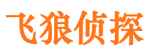 蒸湘市侦探公司